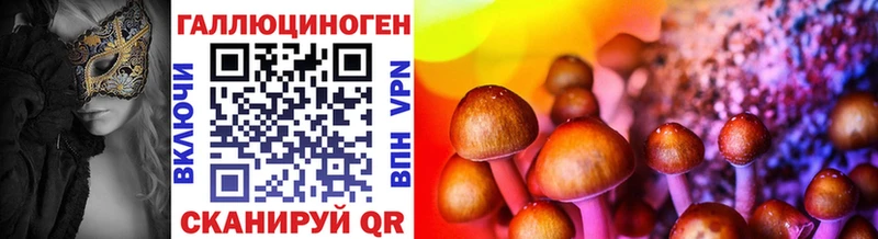 Купить  Красноярск  Галлюциногенные грибы Psilocybine cubensis 